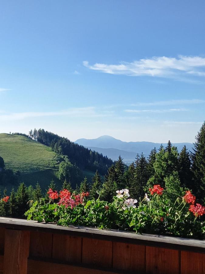 Almchalet Schuster Diex ภายนอก รูปภาพ