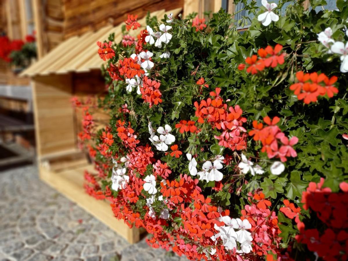 Almchalet Schuster Diex ภายนอก รูปภาพ